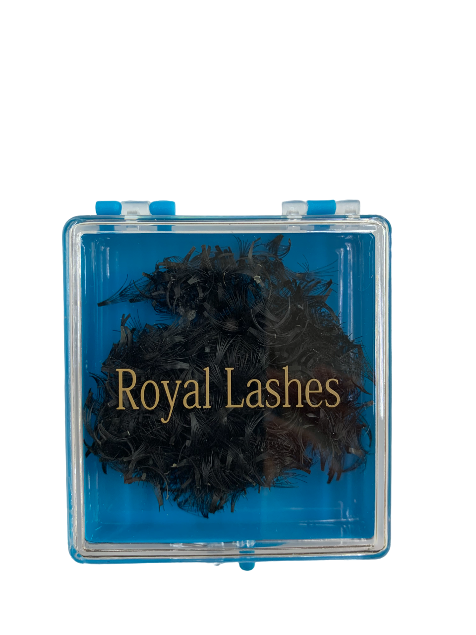 Royal Lashes Flare Lash Knot Free QL 8550